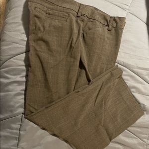 Lee Curvy Fit Trouser 
